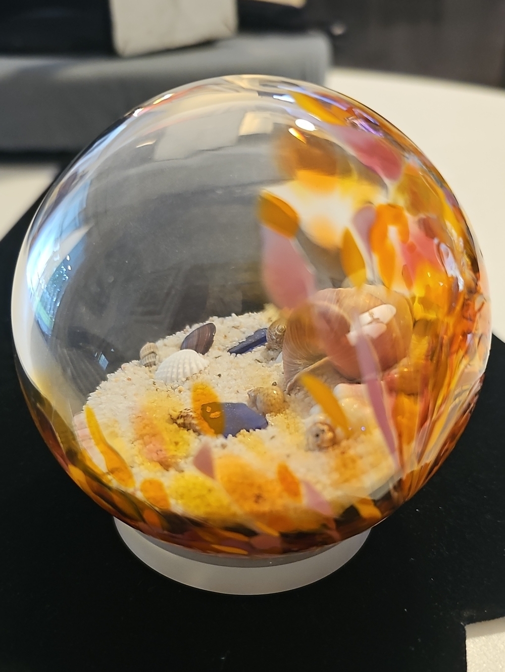 Glass Eye Paper Weght Ocean, Shells Sannd. Signed.